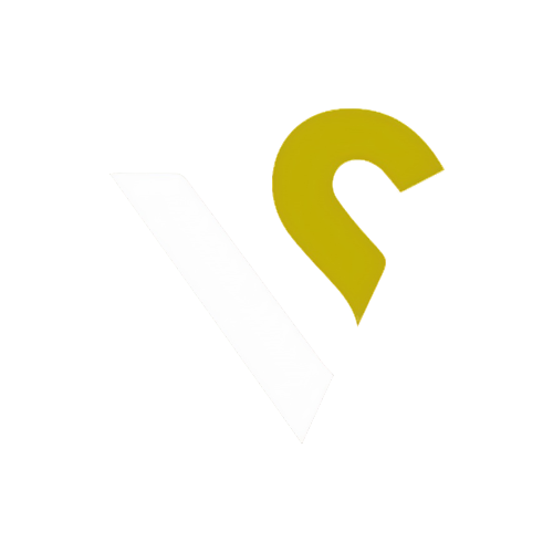 Vectors n' Scalars logo